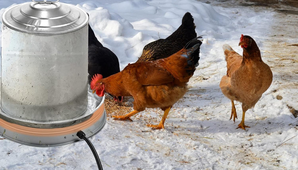Zoblise Chicken Water Heater Base with different livestock