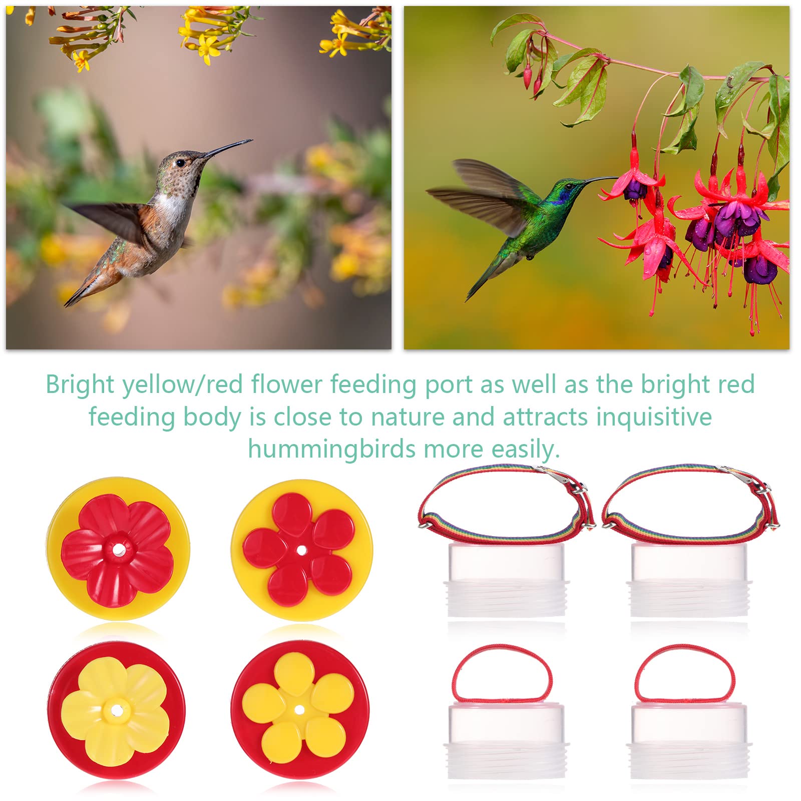 Zopeal Hummingbird Hand Feeder in garden setting