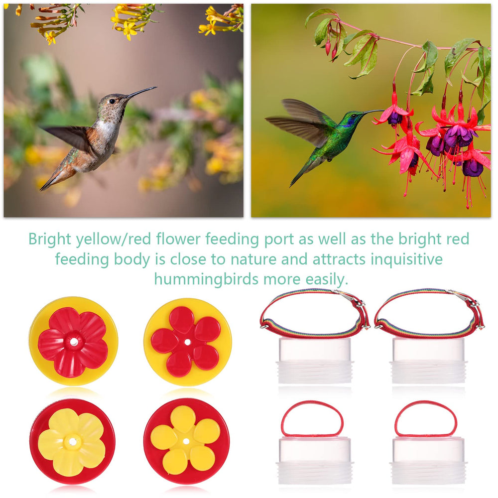 Zopeal Hummingbird Hand Feeder in garden setting