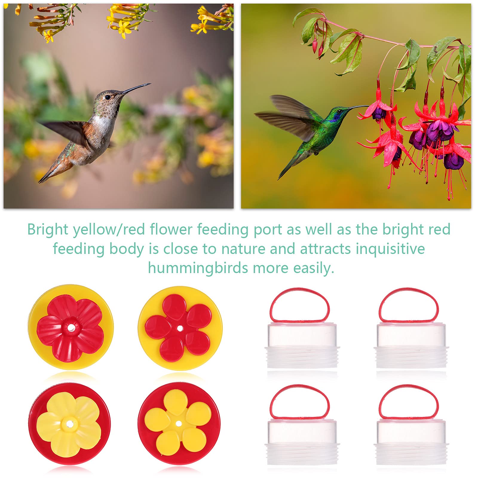 Zopeal Hummingbird Hand Feeder in outdoor setting