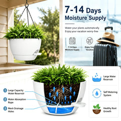 zople 12-inch hanging planter with adjustable chain