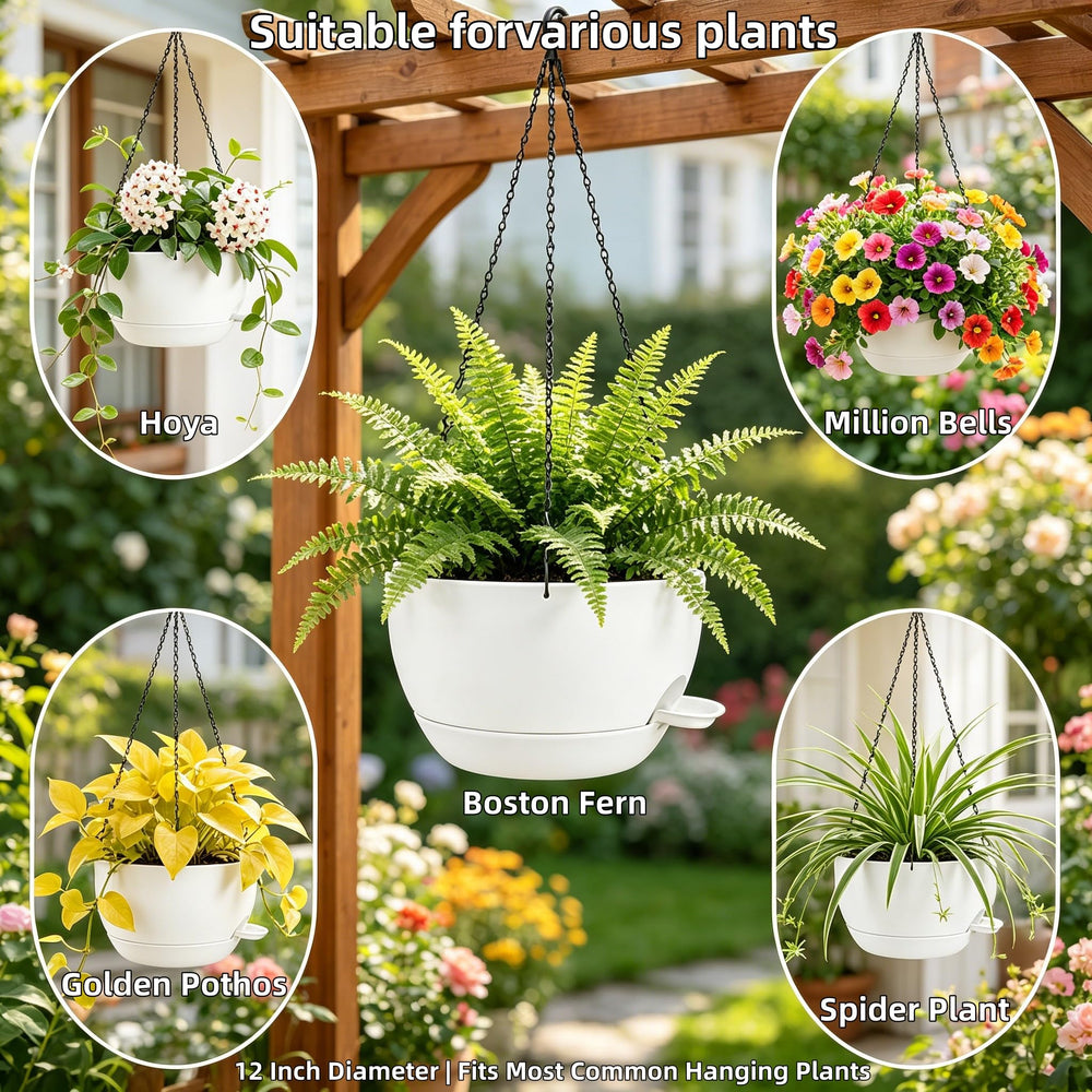 zople hanging planter indoor setup with herbs