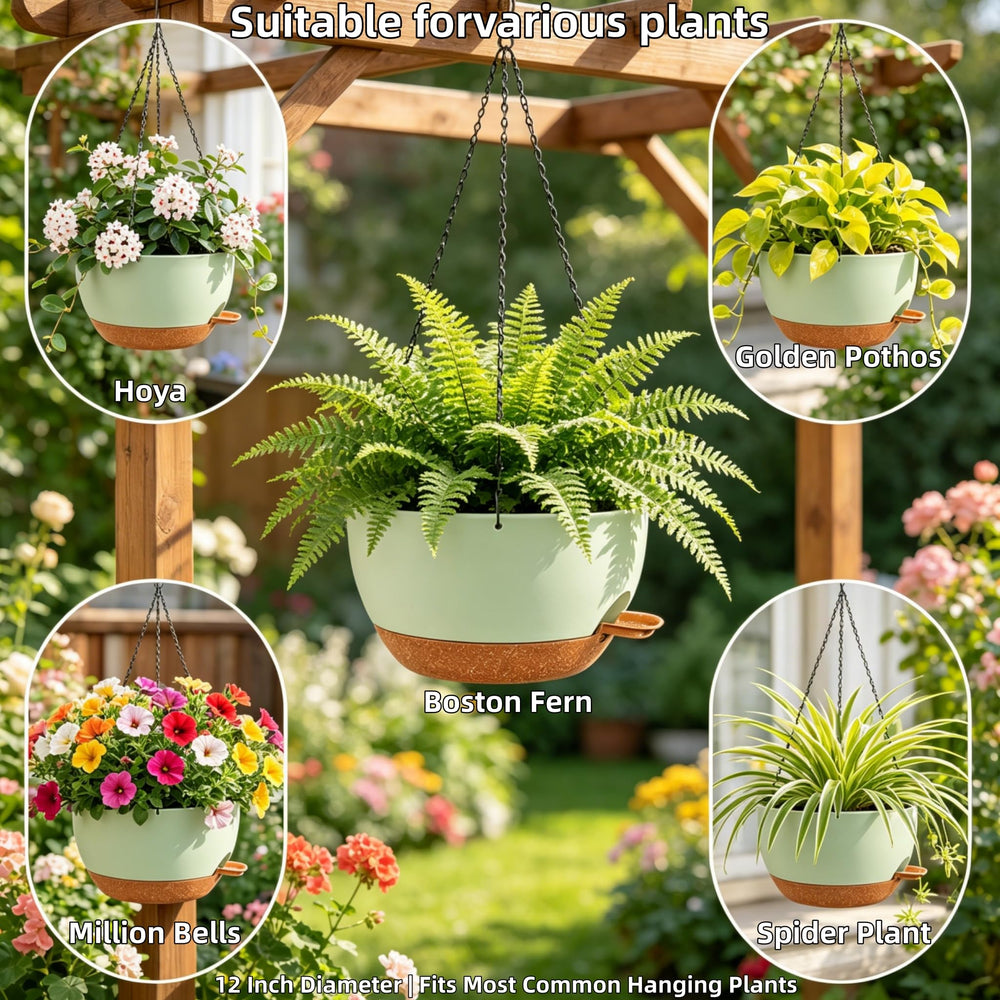 zople hanging planter with drainage holes visible