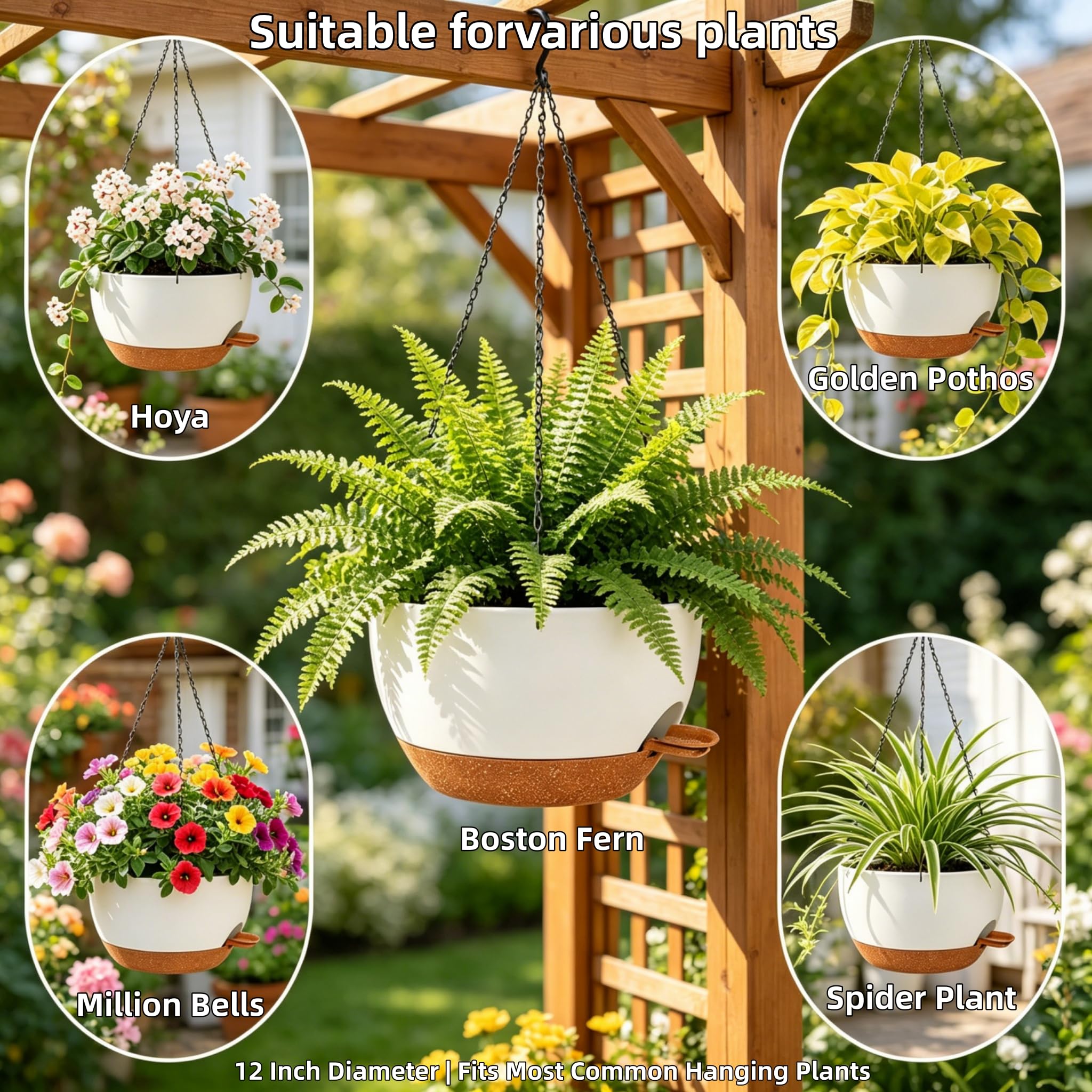 zople planter with accessories including chain and saucer