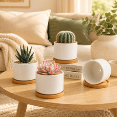 ZOUTOG 4 pack ceramic succulent pots with bamboo tray front view