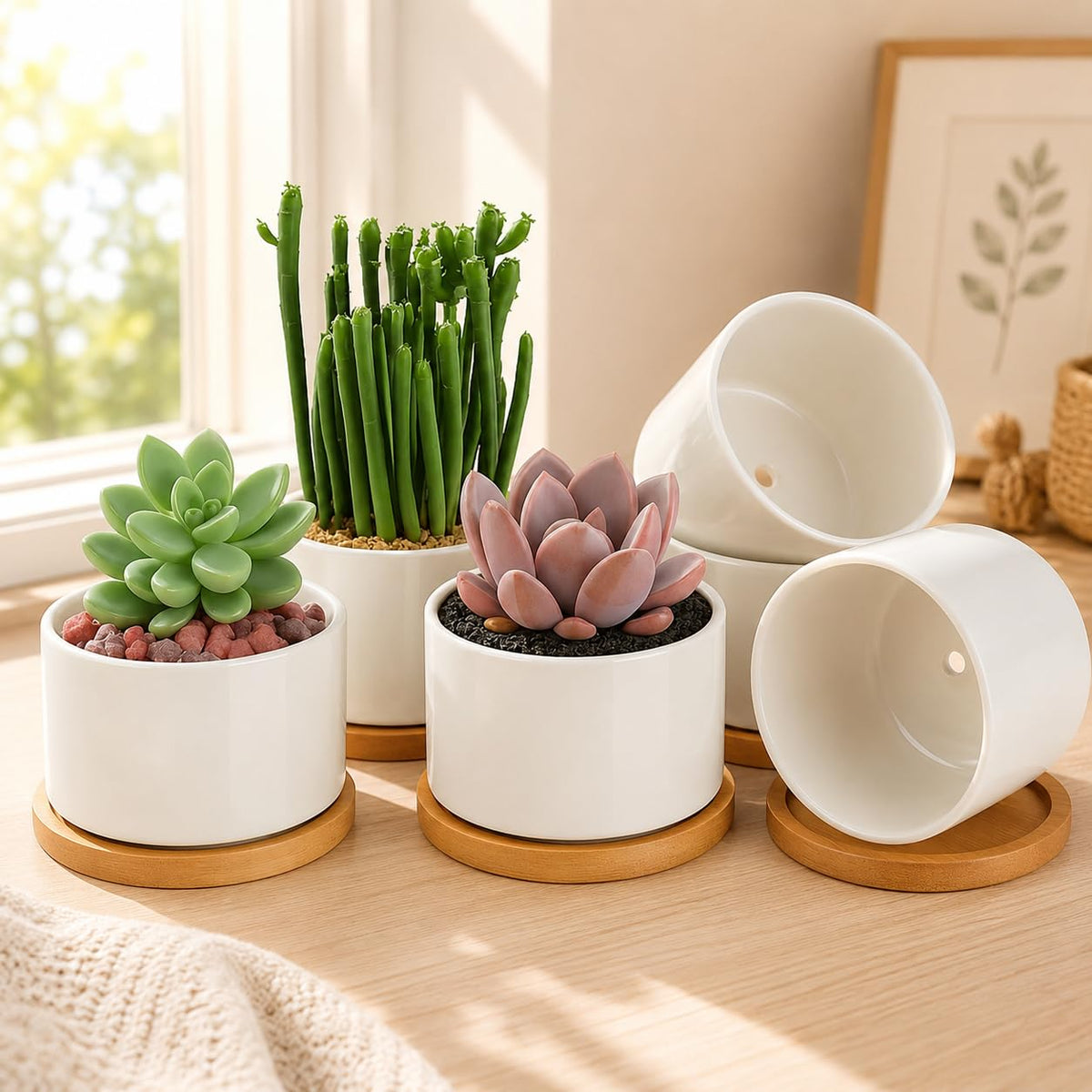 ZOUTOG 6 pack 3.6-inch white ceramic succulent pots with bamboo trays