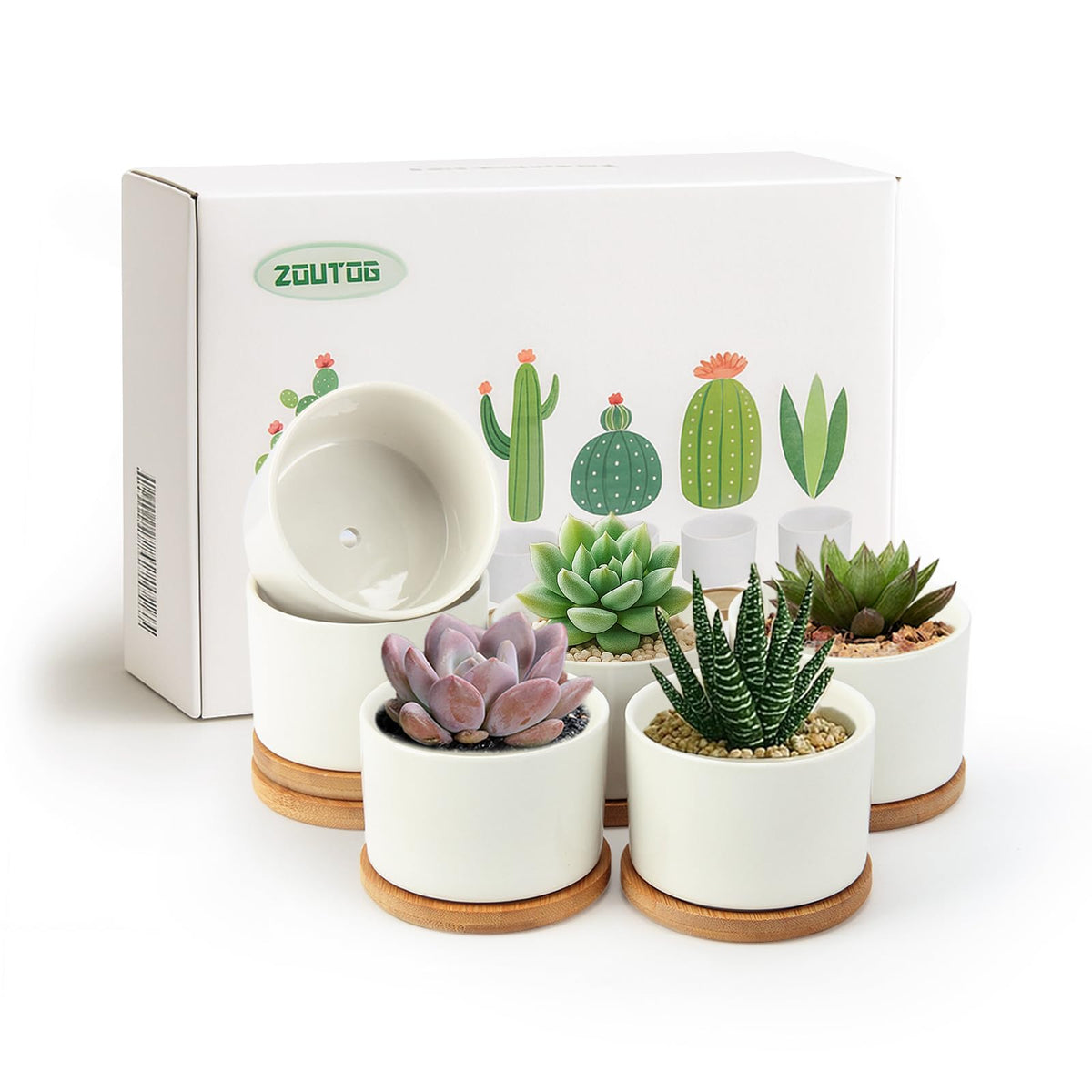 ZOUTOG 6 Pack Ceramic Succulent Pots with Bamboo Tray