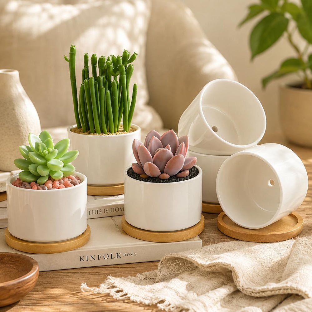 ZOUTOG ceramic pot on a dining table with decorative plants
