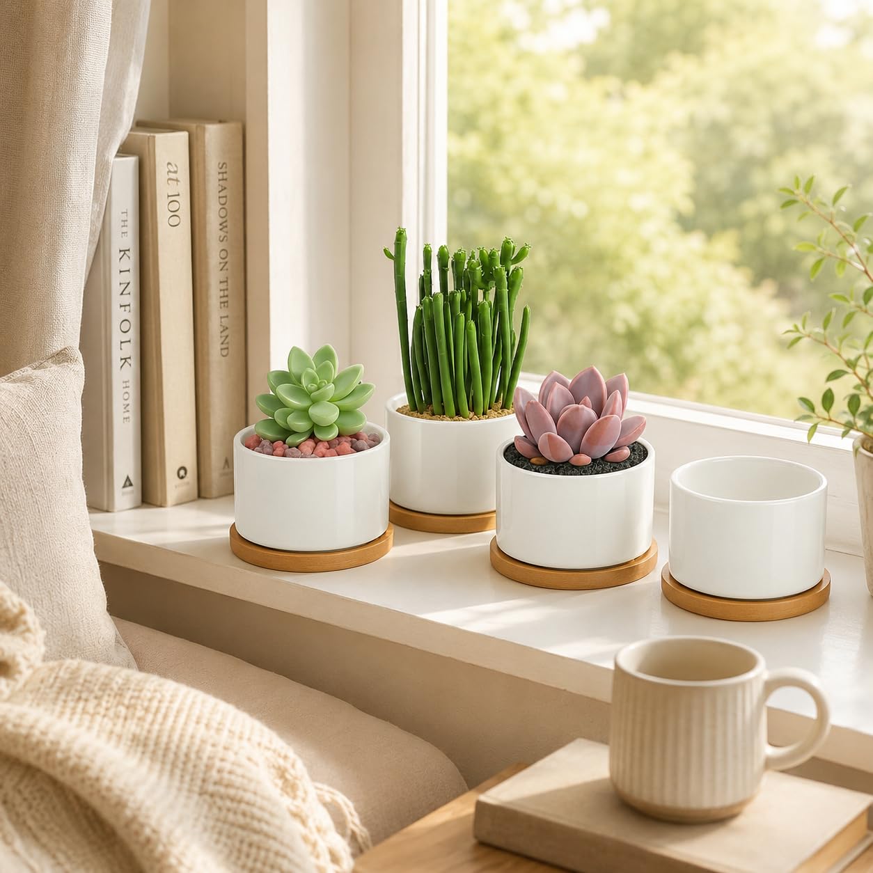 ZOUTOG ceramic pots in elegant packaging