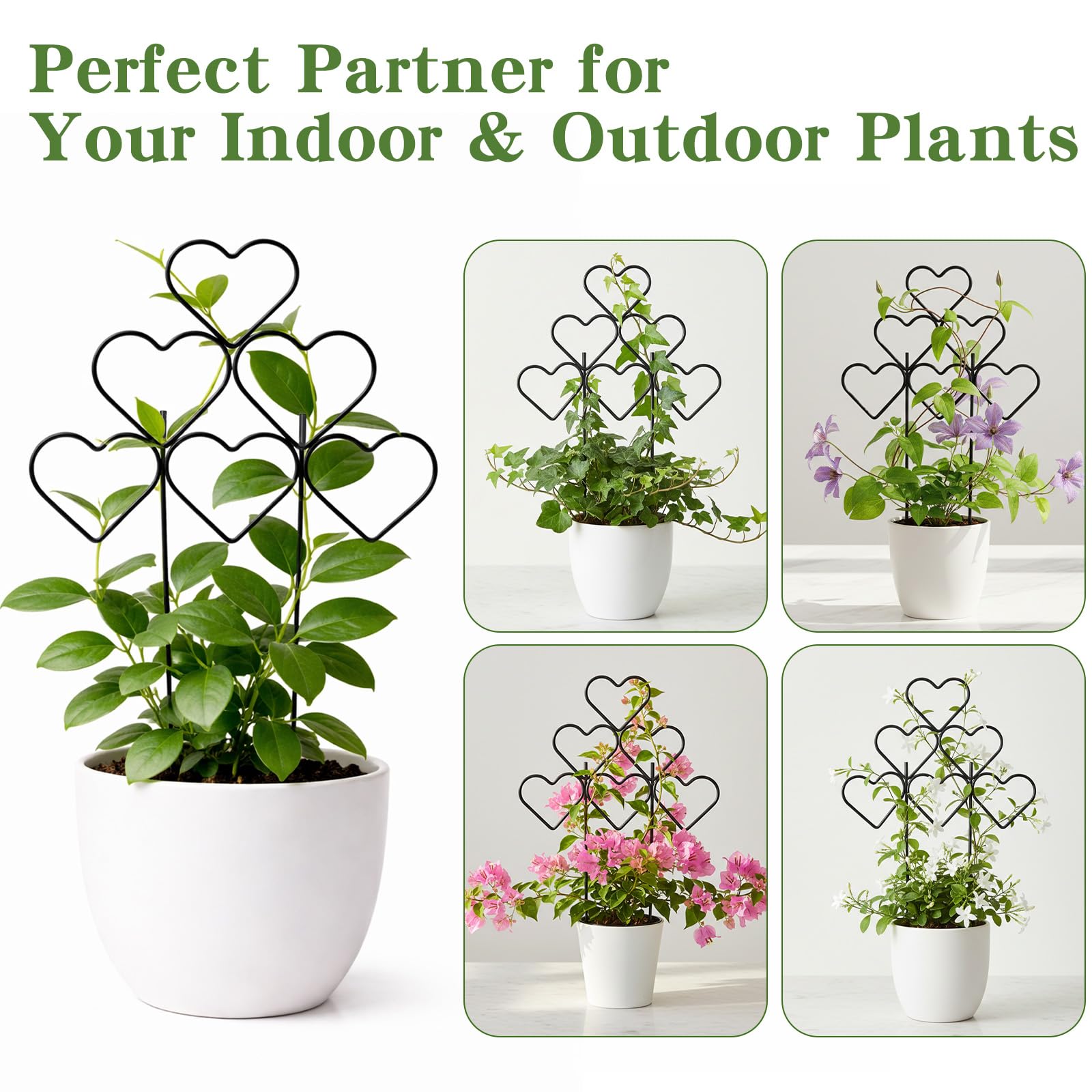 ZOUTOG trellis pack showing 12 pieces
