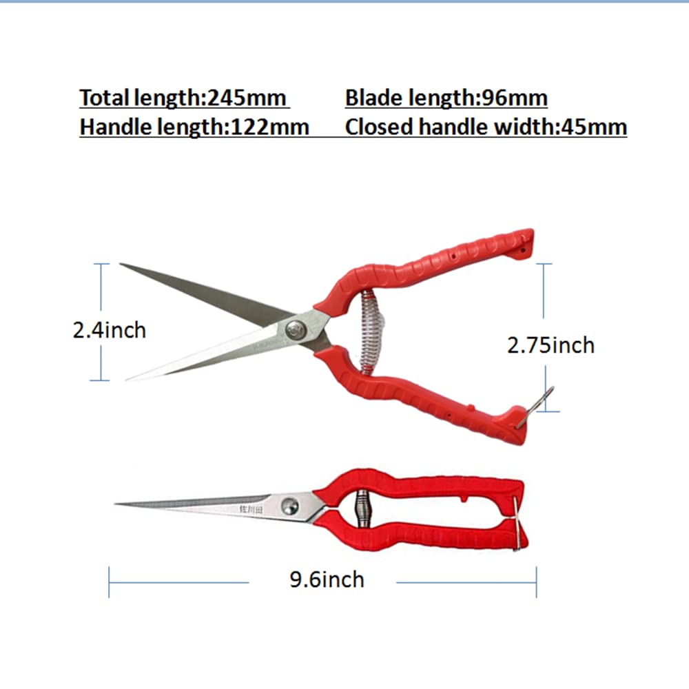 Zsling pruning shears displayed on a wooden table