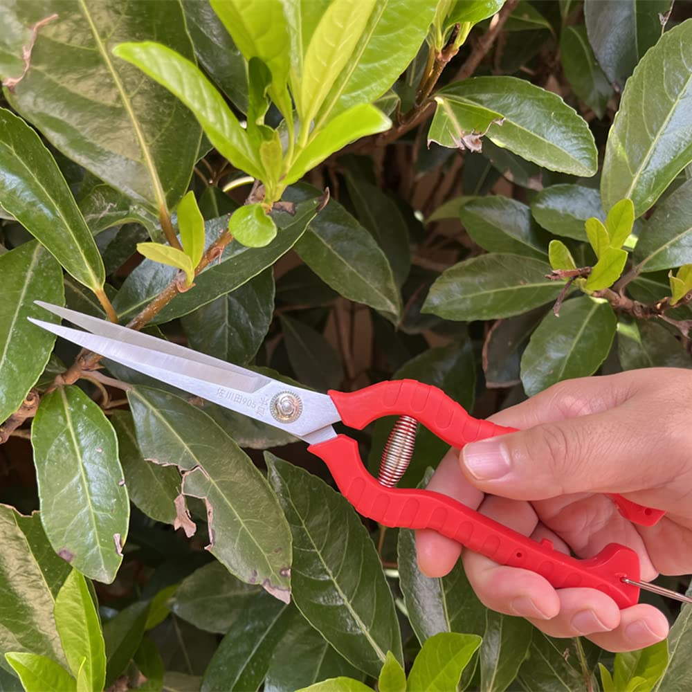 Zsling pruning shears with safety lock feature engaged
