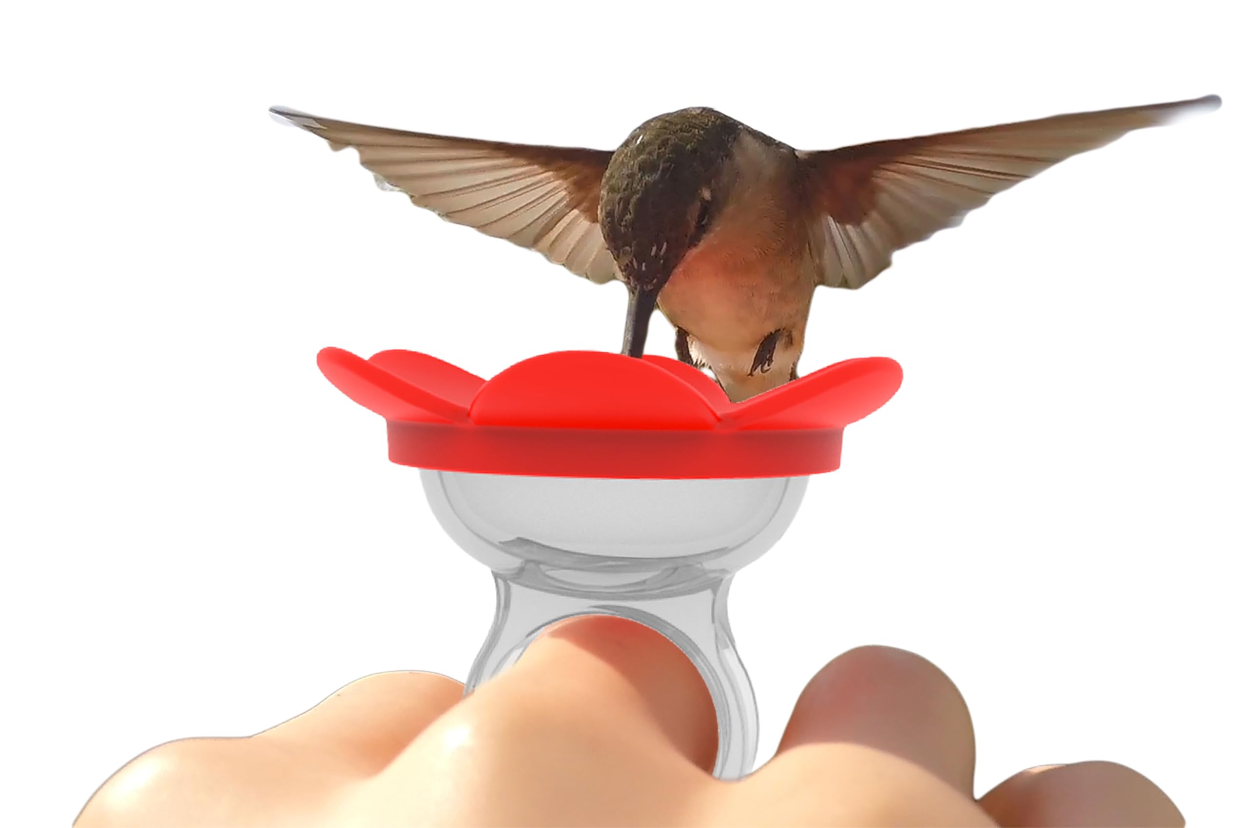 ZUMMR Hummingbird Ring Feeder red front view