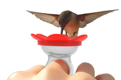 ZUMMR Hummingbird Ring Feeder red front view