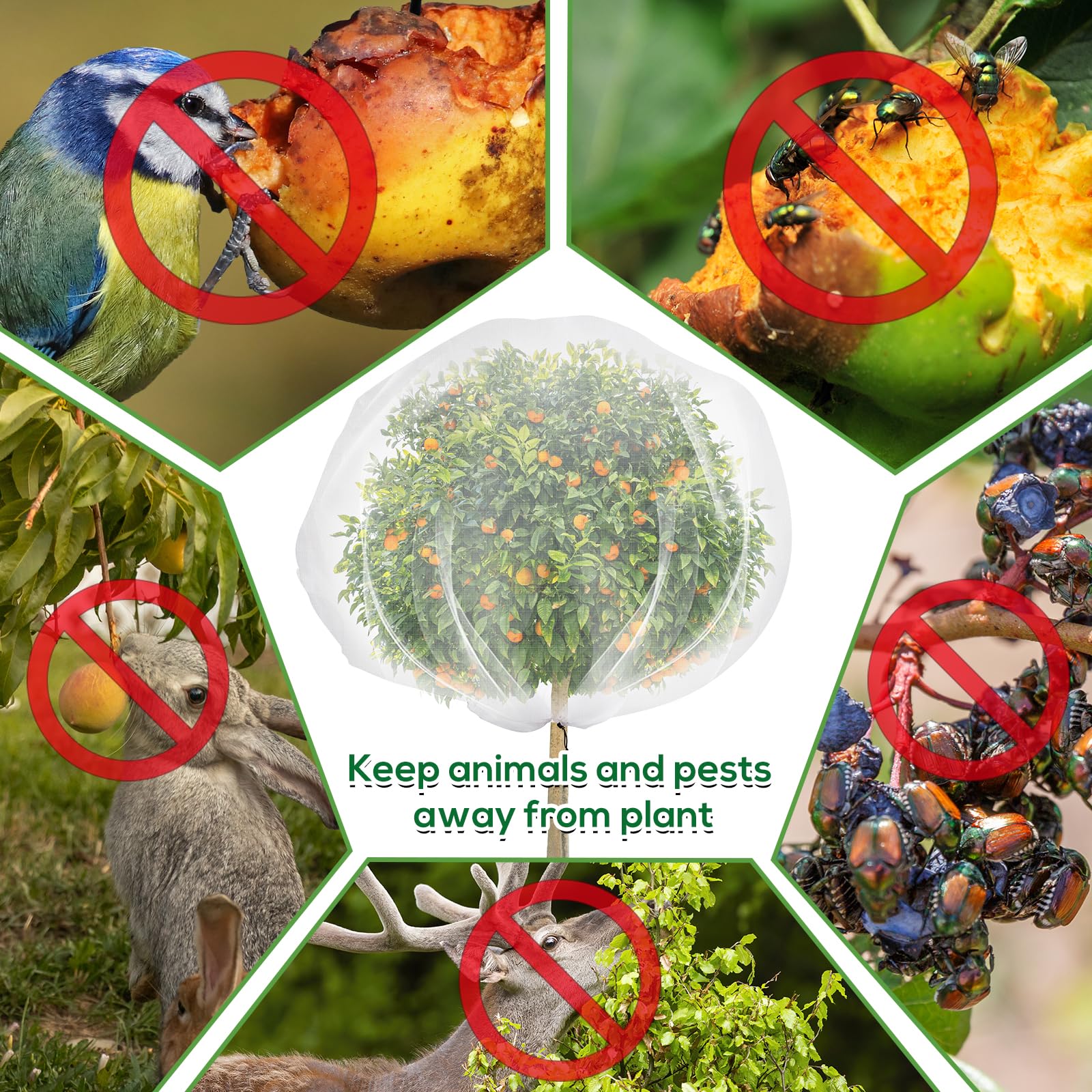 ZYP Fruit Tree Netting Cover in garden setting