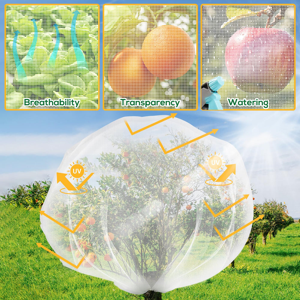 ZYP netting covering berry bushes in a garden