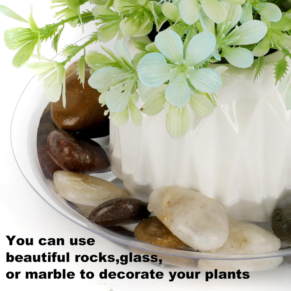 ZZPYXIA plant saucer holding a large potted plant