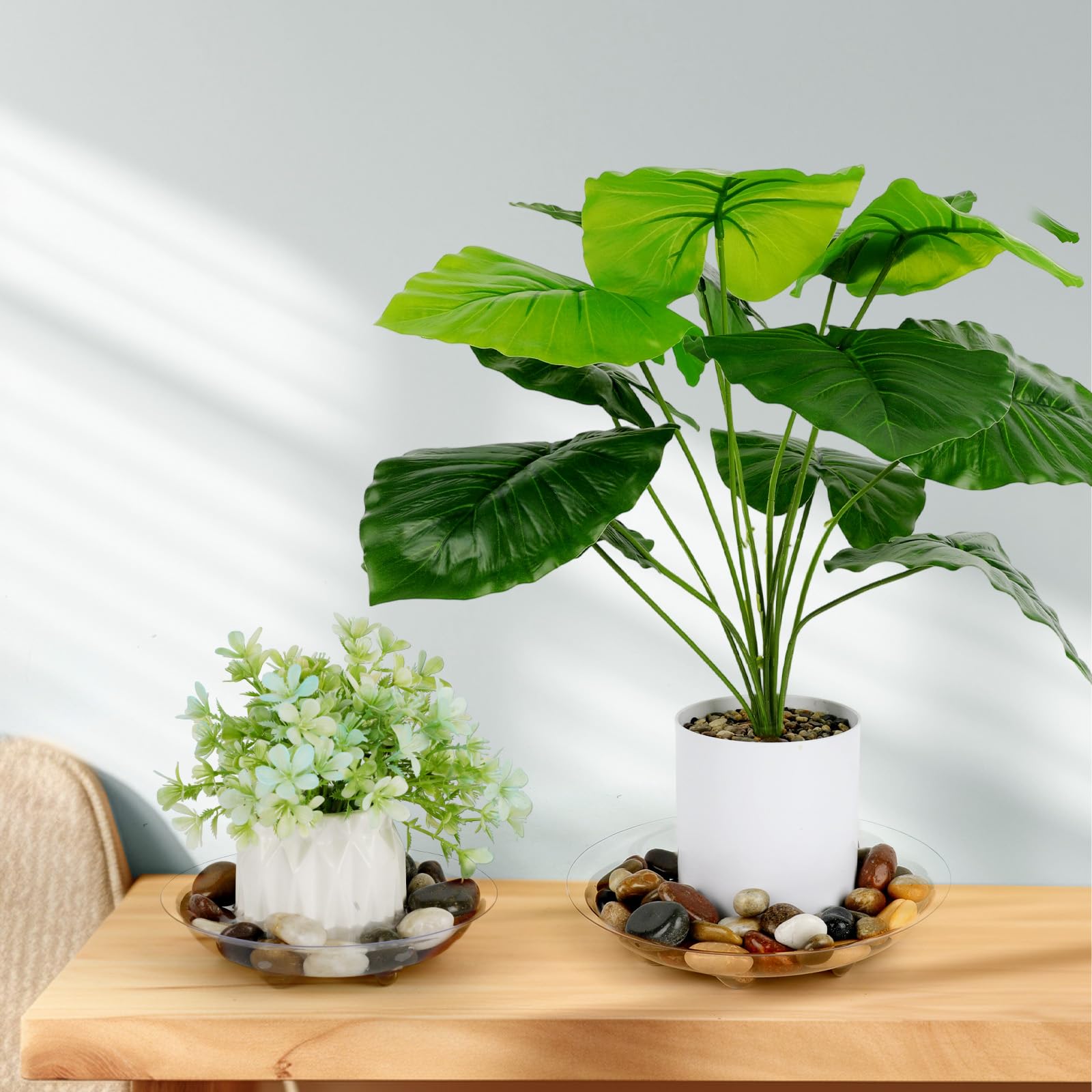 ZZPYXIA plant saucer with a variety of potted plants